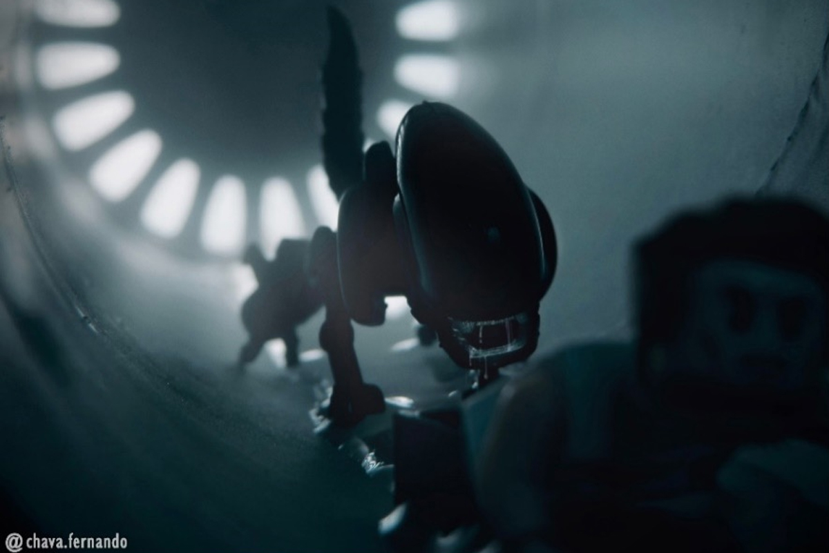 Toy Photographers tweet media