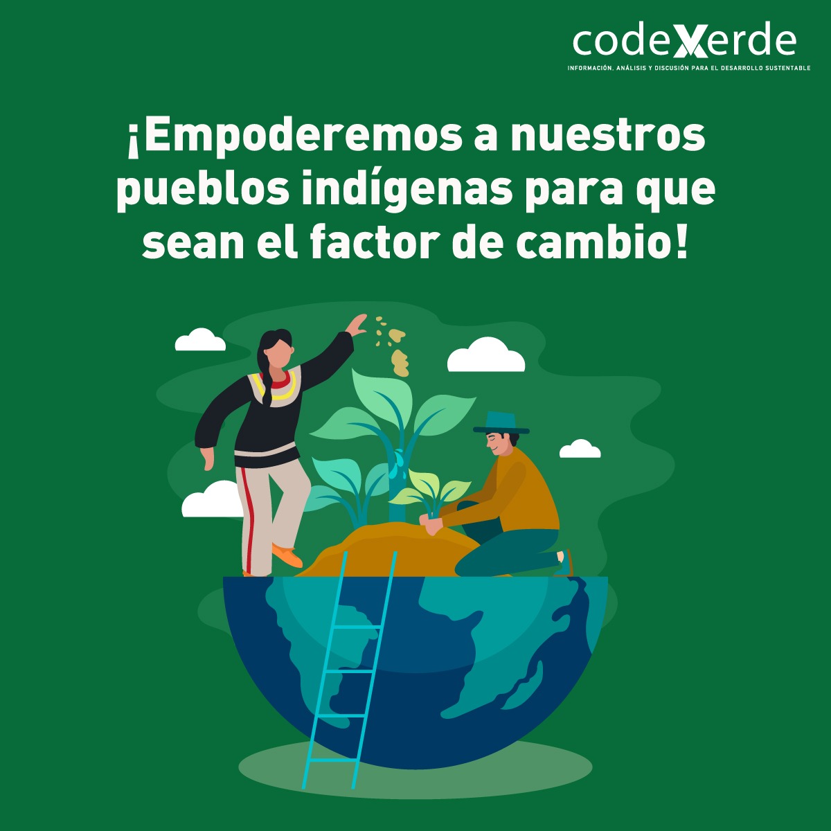 Codexverde tweet media