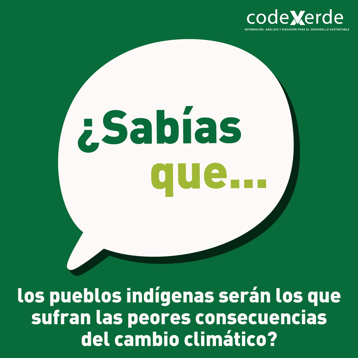 Codexverde tweet media