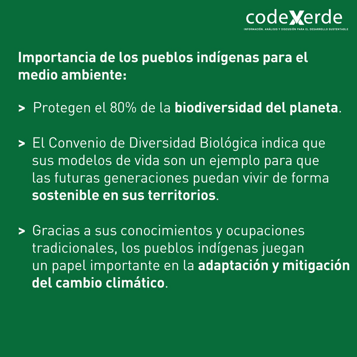 Codexverde tweet media