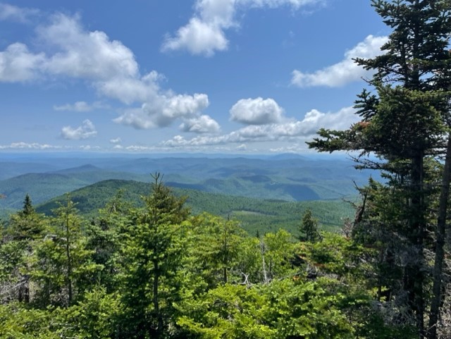 shecky218's tweet photo. Shrewsbury Peak, Coolidge State Forest, Vermont https://t.co/KpzDDi2nIv