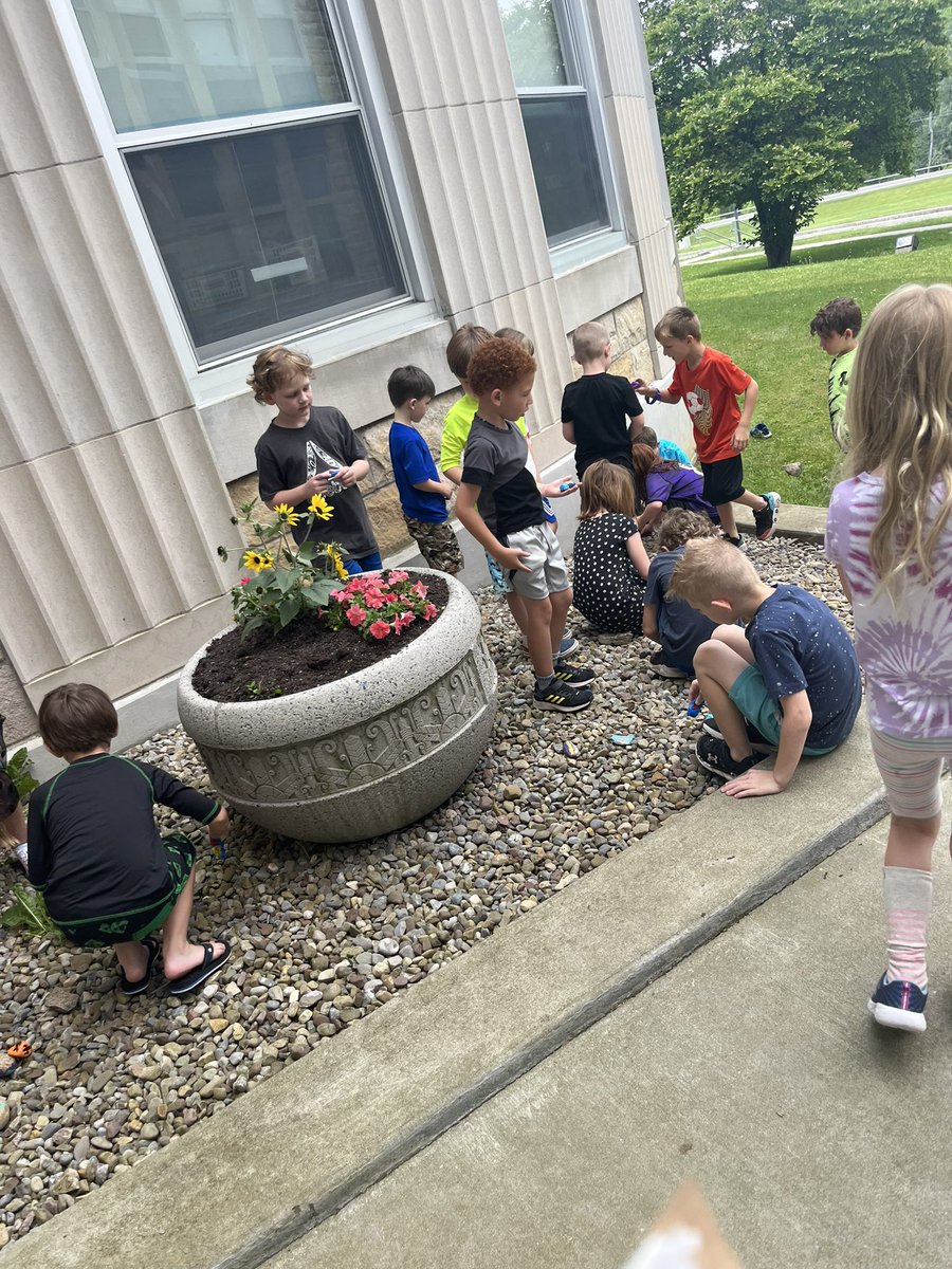 MeredithFreida's tweet image. Adding to the Mrs. Freida rock pod! ❤️ I love traditions with students!