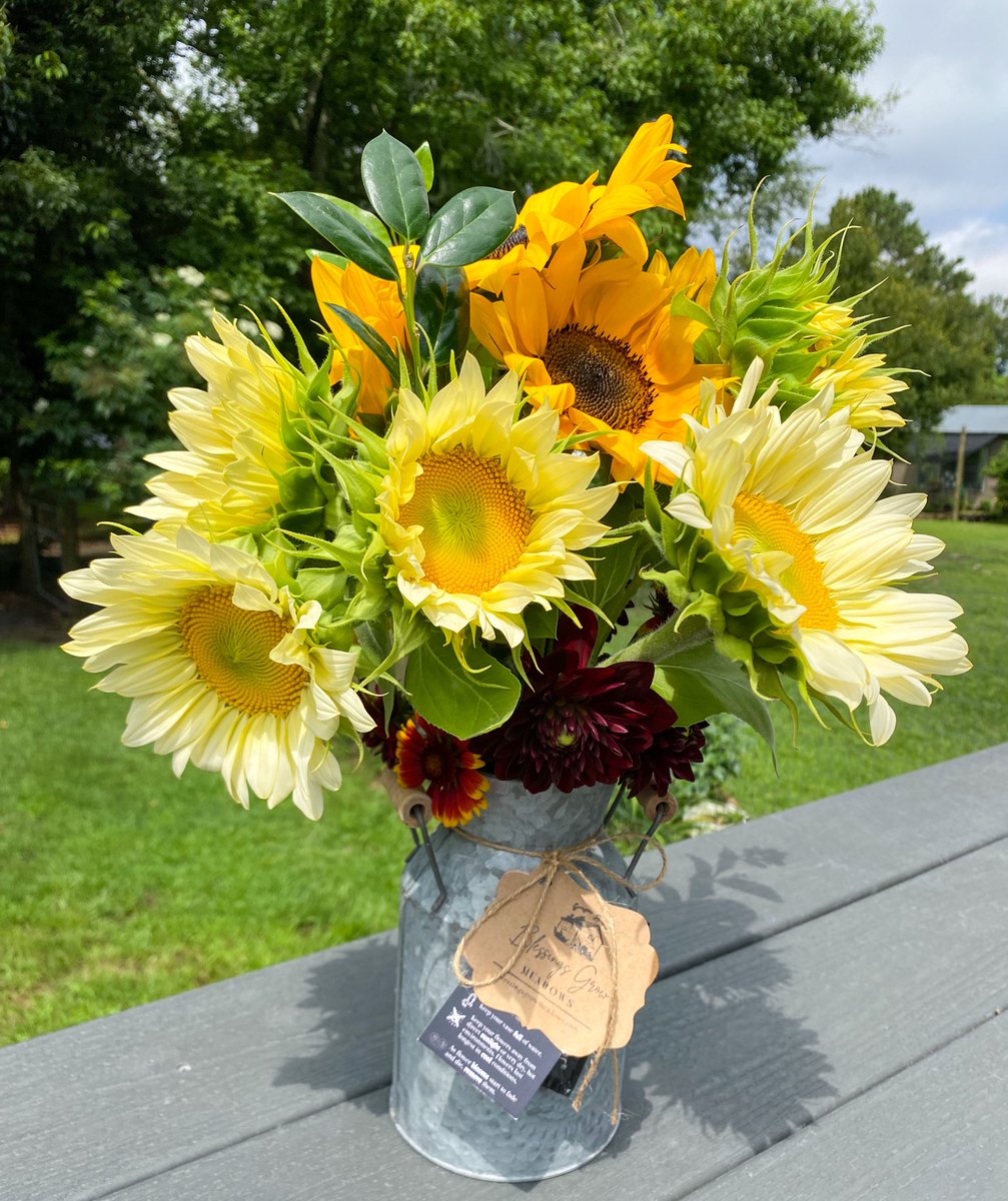 Blessings to share. 💐

#dahlias #locallygrownflowers #fieldtovase #cutflowers #locallygrown #localflowers #flowerfarmer #flowersupplier #blessingsgrow #growingwithpurpose #givinggodtheglory #grownnotflown #metterchamber #georgiagrown #specialtycutflowers #ascfg