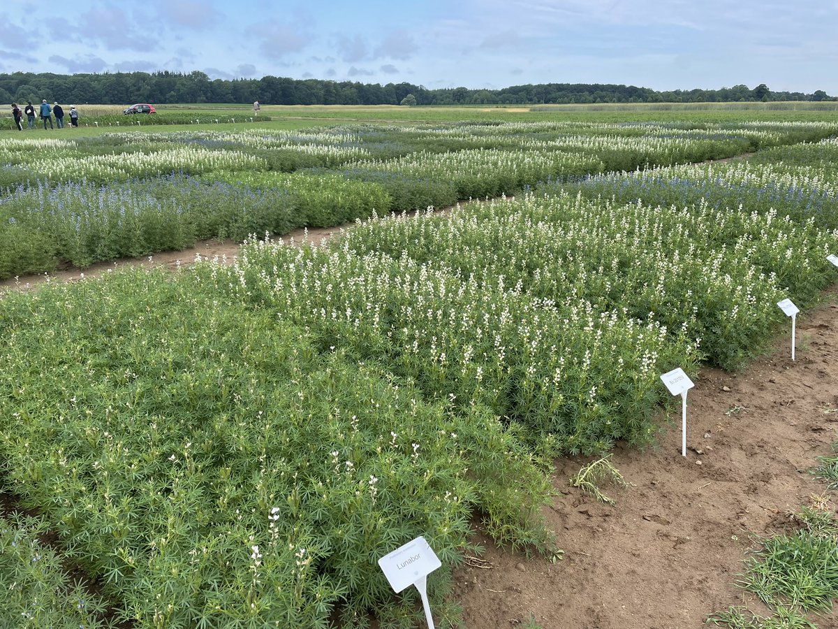 Robyne Bowness Davidson tweet media