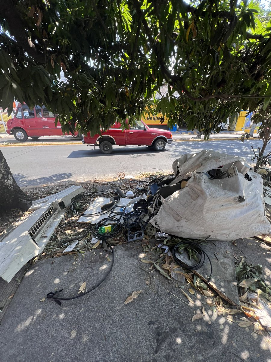 Esme_Carrillo's tweet photo. La avenida Río Nilo a la altura donde comienza @ForumTlaque cada día se pone peor, es un tiradero de basura, cacharros y huele horrible. Toda la cuadra está así, si no es basura son partes de árboles caídos. 

Olvidada por los administradores de la plaza y el @GuadalajaraGob. https://t.co/qjzMwJZMuK
