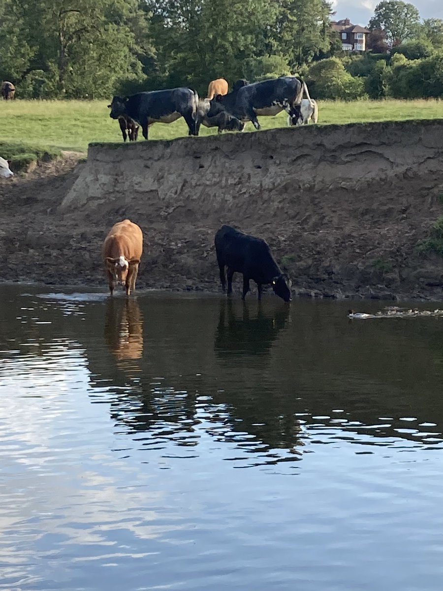 Jenny Osborne tweet media