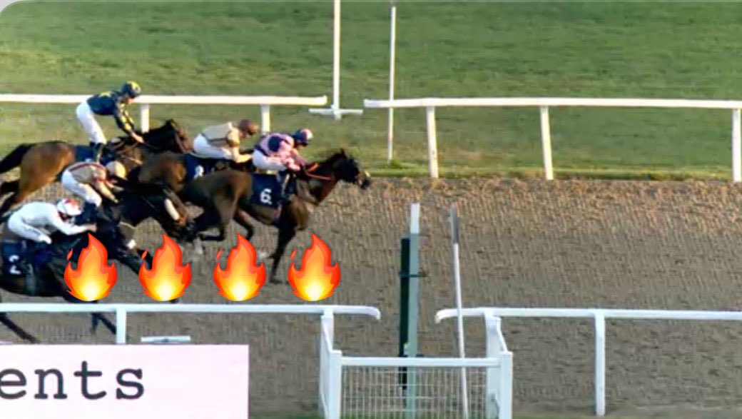 UK’s Best Horse Tipping Service 🐎 tweet media