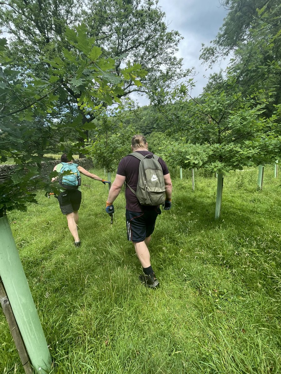 We played Dodge the Rain today with our volunteers, and we had a real mixture of jobs. Firstly rounding up a flock of sheep in the wrong field, before temporarily repairing the offending areas of fencing, and resetting all the tree canes after the sheep knocked them over.