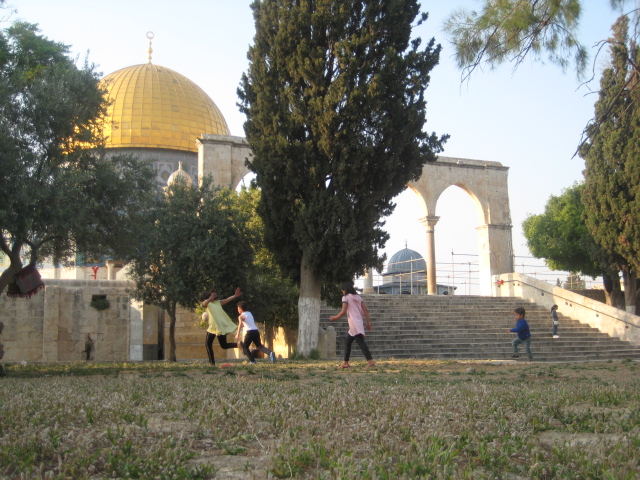 MTO Aksaray Kudüs Yolunda

Kıymetli <a href="/yenisafakwriter/">yusuf kaplan</a>  hocamızın uygun görmesiyle Aksaray İl Temsilciliğini aldıktan sonra bir hayalim vardı;
Talebelerimle Kudüs'e gidip Kubbetü's Sahra'nın altında kitap okumak, hasbihâl etmek...
En son Kocaeli Kampımızda altını çizerek sunum