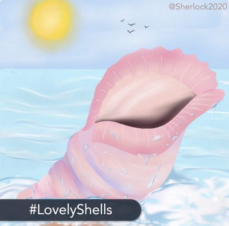 CTappOfficial's tweet photo. 👑Color Therapy’s Wednesday #ColorChallenges and #EasyChallenges have started in our app!
🎨#RetroUrbanArt
🎨#LovelyShells
Join the fun on #ColorTherapyApp today https://t.co/7mcpDFYjnI
#digitalart #art #color #coloring #coloringbook #drawing https://t.co/NL3YVZWkGH