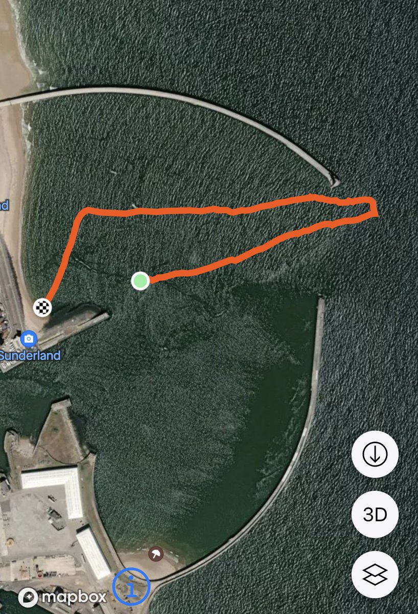 plingwood's tweet image. Look who made the news on the Summer Solstice