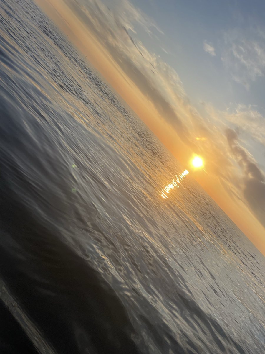 plingwood's tweet image. Look who made the news on the Summer Solstice