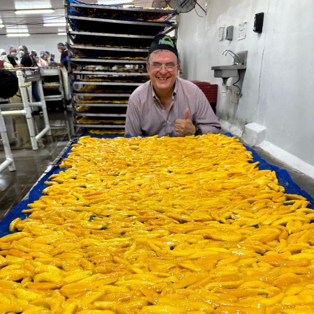 Aguacaliente de Garate, planta deshidratadora de mango