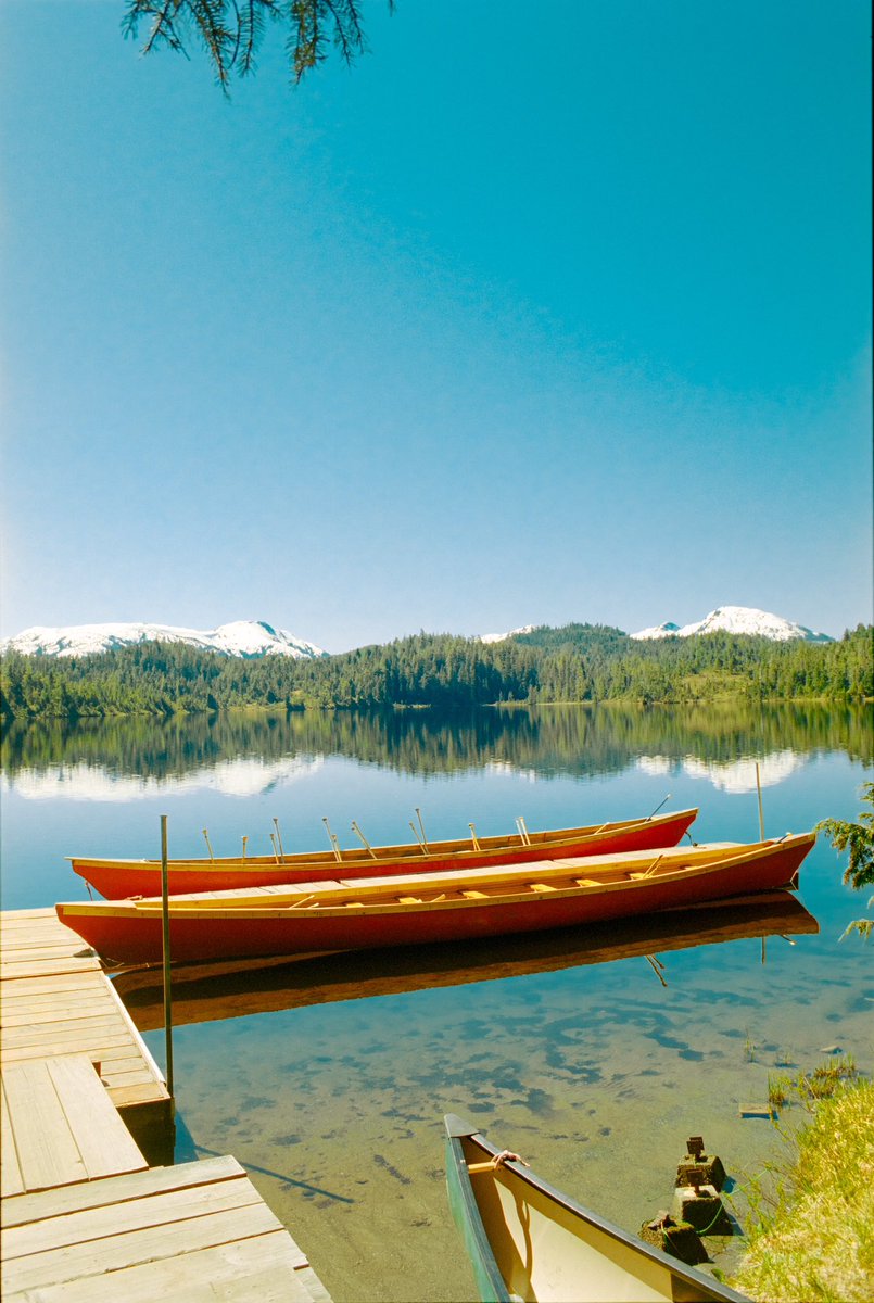 tfvni's tweet photo. Sumer camp in Alaska 🛶 canon ae-1 | portra 400 
#filmphotography https://t.co/Y3OgG5LeMr