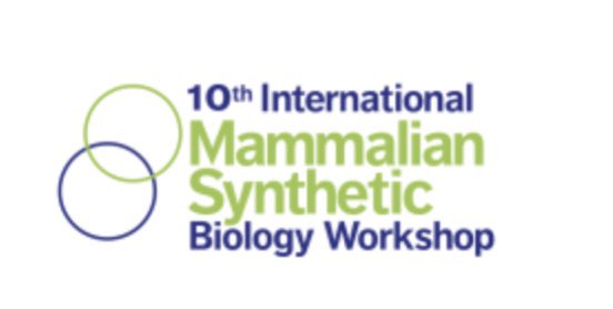 MokhtariTahere's tweet photo. Flying to California to attend #mSBW. Thrilled to attend this conference &amp; get to meet all the brilliant minds in the field of #mammalian Syn Bio🧠🧬 Special thanks to #AIChE for awarding me their travel funding opportunity. See you on the otherside of the map🇺🇸🌴🌞🛩️😅 https://t.co/RKhYF62ikS
