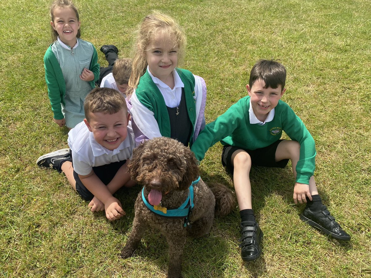 Smile for the camera! T🐾