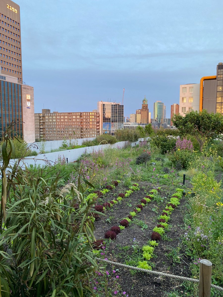 I'm at Ted's Place Rotterdam - All Day Brunch in Rotterdam swarmapp.com/c/7G8xZs61Iyk