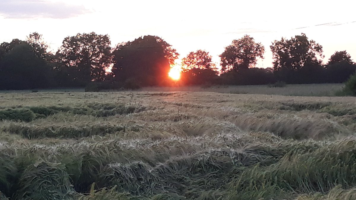 martinBlake10's tweet photo. #SummerSolstice sunset in gipping #Suffolk https://t.co/AO0mOBuE4N