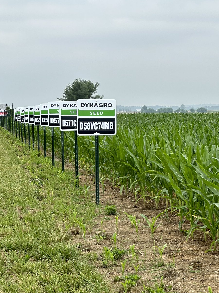 Riley Laber tweet media