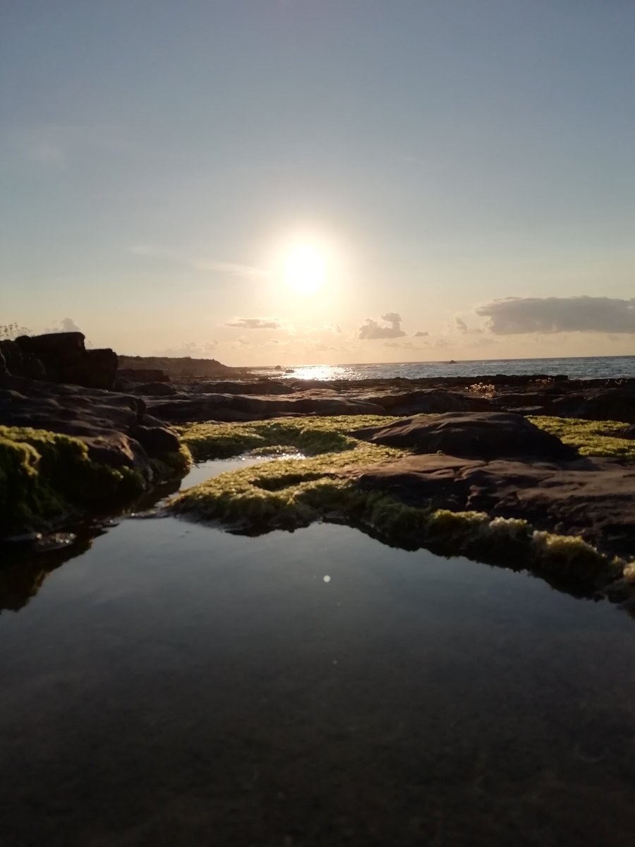 Derval Dunford tweet media