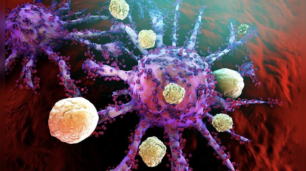 A new study <a href="/Nature/">nature</a> "Show for the first time that PD-1 has a critical role in preventing T cells from attacking normal tissues in healthy individuals,” <a href="/Joshilabyale/">Nik Joshi</a> bit.ly/44uXt5N 
<a href="/SmilowCancer/">Smilow Cancer Hospital</a> <a href="/YaleMed/">Yale School of Medicine</a> <a href="/OncoAlert/">OncoAlert</a> <a href="/YNHH/">Yale New Haven Hosp</a> <a href="/YaleIBIO/">Yale Department of Immunobiology</a>