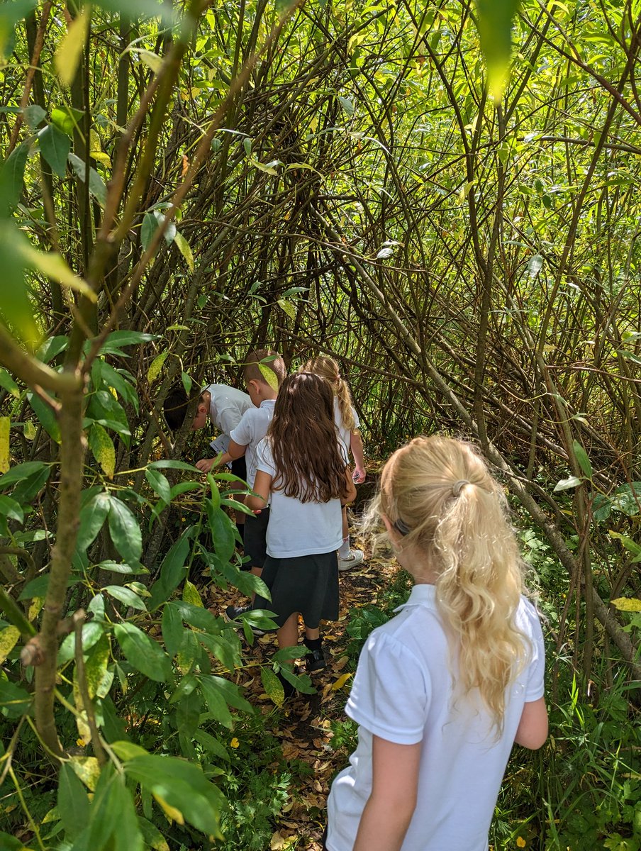 CymerPrimary's tweet photo. #CAPwillow went on a minibeast hunt duringour outdoor learning afternoon to see what we could find using our resources from @LostPeatlands. We found lots of different insects and created a pictogram of our findings. 🐛🐝🦋🦗🪲🪳 #outdoorlearning https://t.co/qqQphDHeiq
