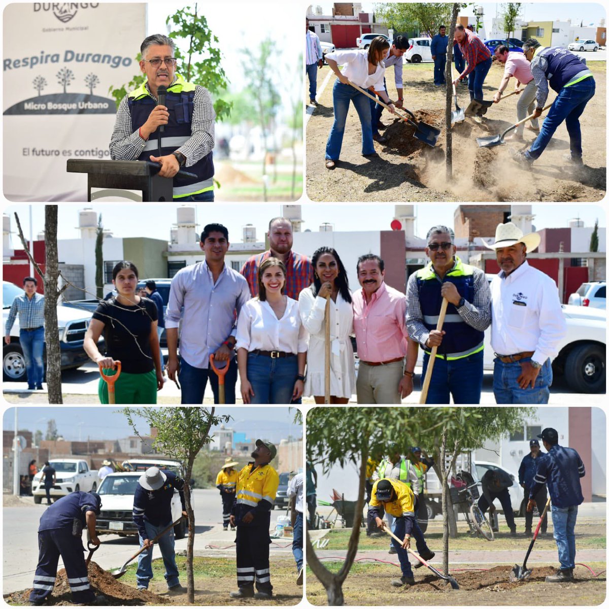 AmbienteDgo's tweet photo. Nuevo microbosque urbano en Durango, esta vez en el fraccionamiento Pirineos, en donde los vecinos solicitaron apoyo para este espacio, estamos seguros que lo van a cuidar muy bien y en un futuro será un gran espacio verde. 🌳🌲

#Al100ConDurango
#encasalafamiliadecide https://t.co/w5hMXYx0Fw