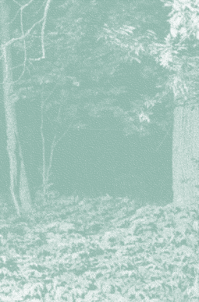 Figure31 tweet media