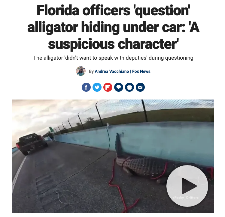 GatorsDaily's tweet photo. he knows his rights https://t.co/cRRHmUIzyc