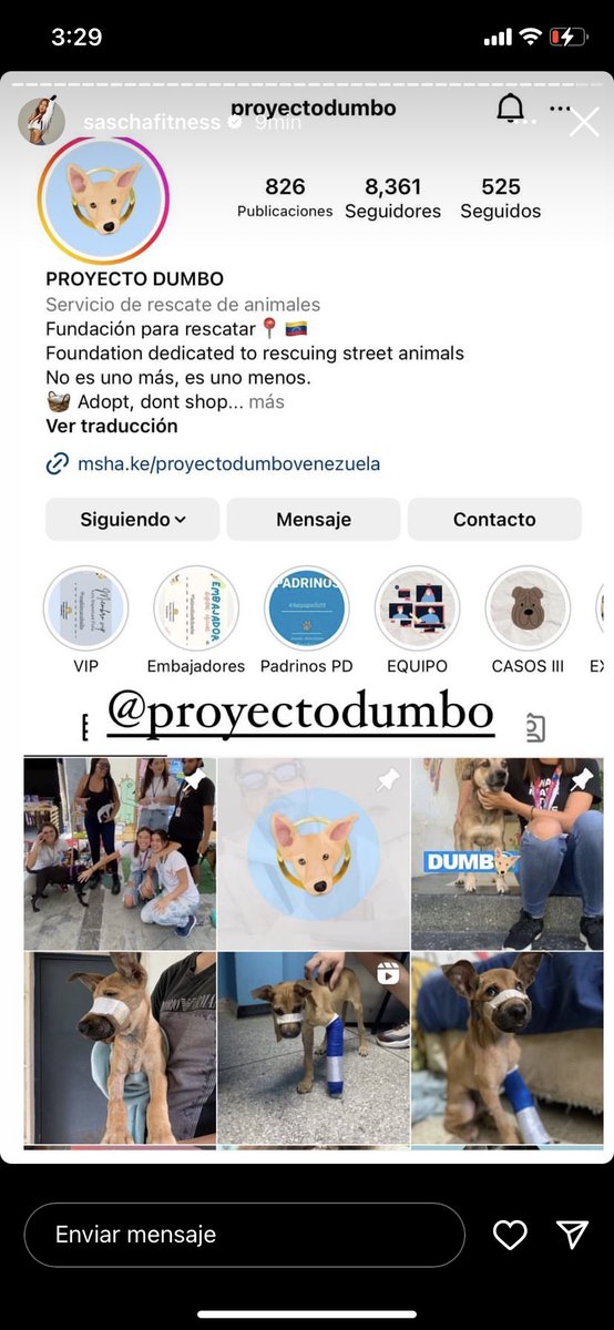 ProyectoDumbo's tweet photo. Por favor vean que hermosa es esta mujer @SaschaFitness subió historias hablando de nuestra fundación y nos hará una donación 🤍 gracias sascha, tía de la fundación oficialmente 🙏🏼 esto es un sueño https://t.co/Q8Q36tkRUG