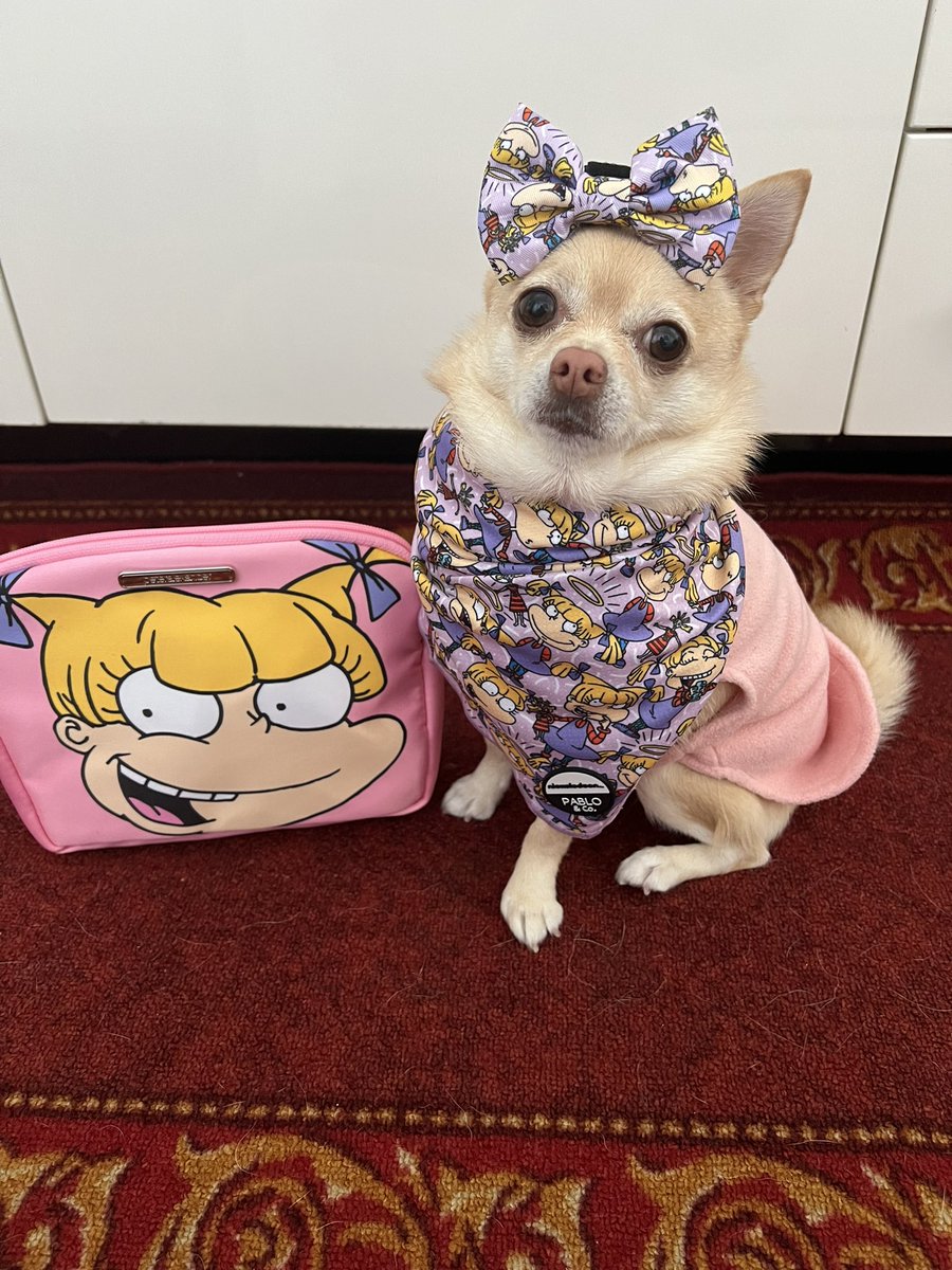 I found some great Angelica stuff when I was shopping yesterday. I am very happy with myself for finding this🐾 

#tinkerbellthepomchi #pomchi #tatertotsquad #dogsoftwitter #dogsontwitter #pabloandco #rugrats