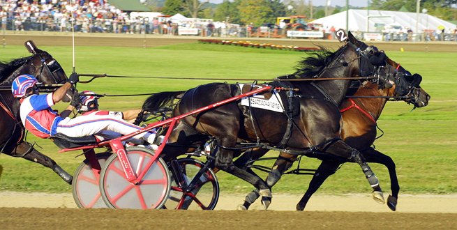 PointsBetRacing's tweet photo. Top harness action available daily! Wager at https://t.co/m09nk0onmJ https://t.co/J3ARZCZIdG