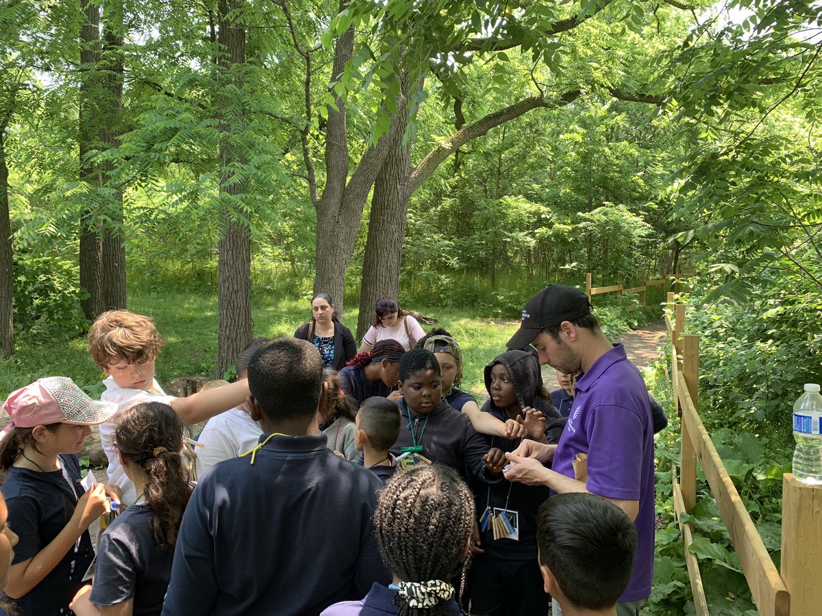 Mr. Tatone’s class learning in an outdoor setting at Downsview Park.  Thanks to our CSPC for paying the bussing costs for all of end of the year excursions