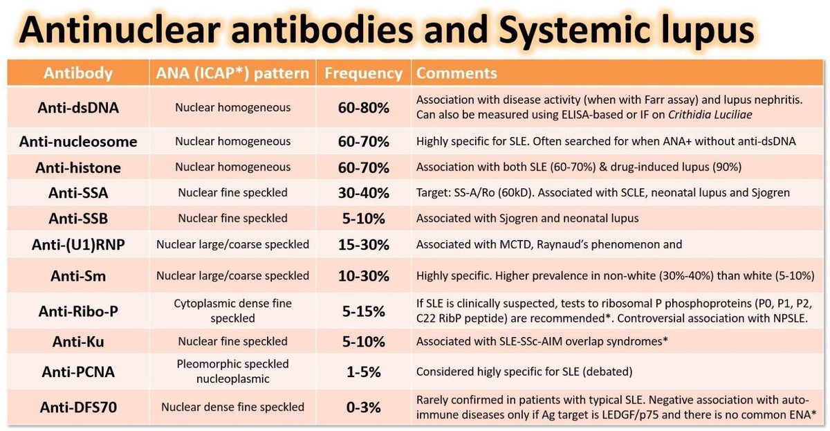 Lupus antibodies