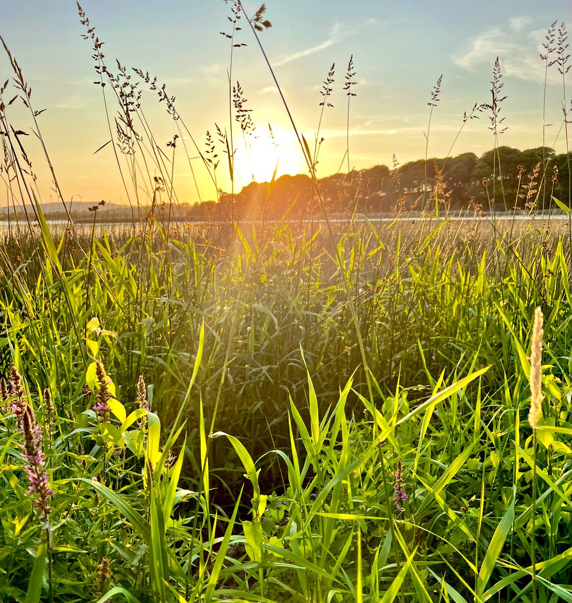 Radiant! 
The #sun starts to #set on the #LongestDayOfTheYear at #BallyallaLake 

#SummerSolstice #LongestDay 
#ThePhotoHour #200DaysOfWalking