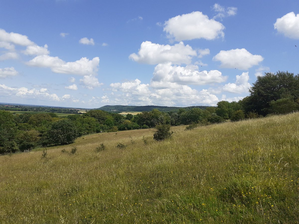 Janetalkstrees's tweet image. Good planning to take the team to consider calcareous grasslands on the Summer Solstice @RowantNNR @NEThamesSolent