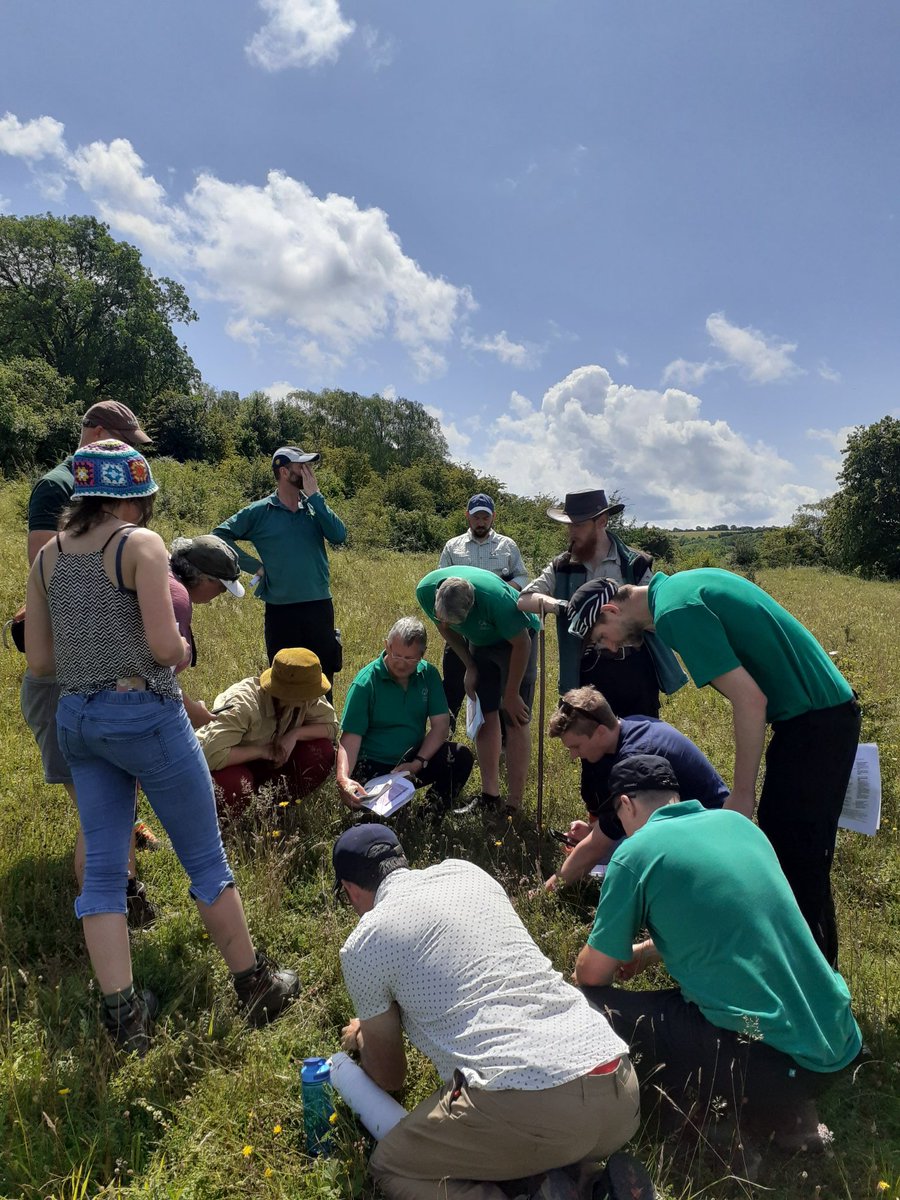 Janetalkstrees's tweet image. Good planning to take the team to consider calcareous grasslands on the Summer Solstice @RowantNNR @NEThamesSolent
