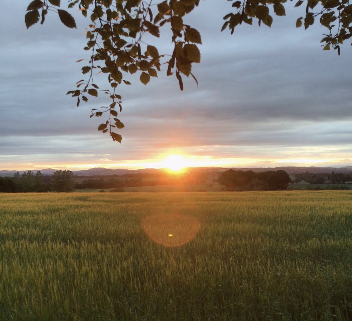 Corrie Watson 🏴󠁧󠁢󠁳󠁣󠁴󠁿🇪🇺 tweet media