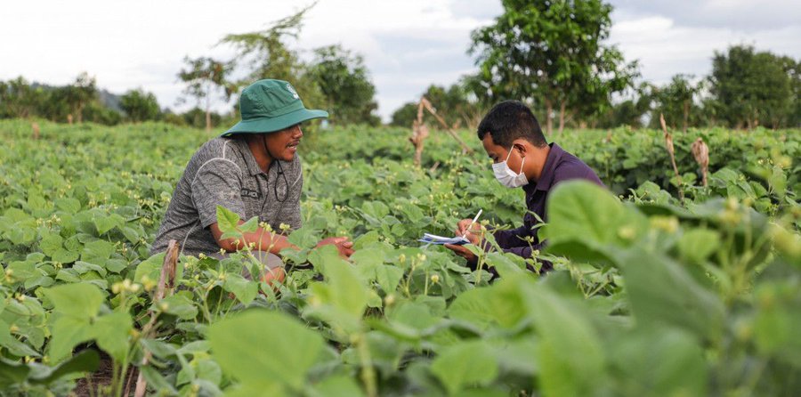 Natural Inputs & Practices. Regenerative agriculture promotes cover cropping, crop rotation, and reduced tillage, reducing synthetic inputs and improving soil health. It's a step towards sustainable farming. 🌱💚 #SoilHealth #SustainableFarmingPractices