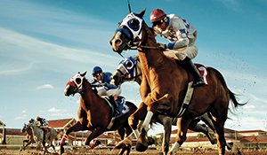 PointsBetRacing's tweet photo. $150,000 Pleasanton Mile from CARF.  Wager at https://t.co/m09nk0onmJ
2yo stakes also on the card from the fairgrounds. https://t.co/jnTIlxL9Sp