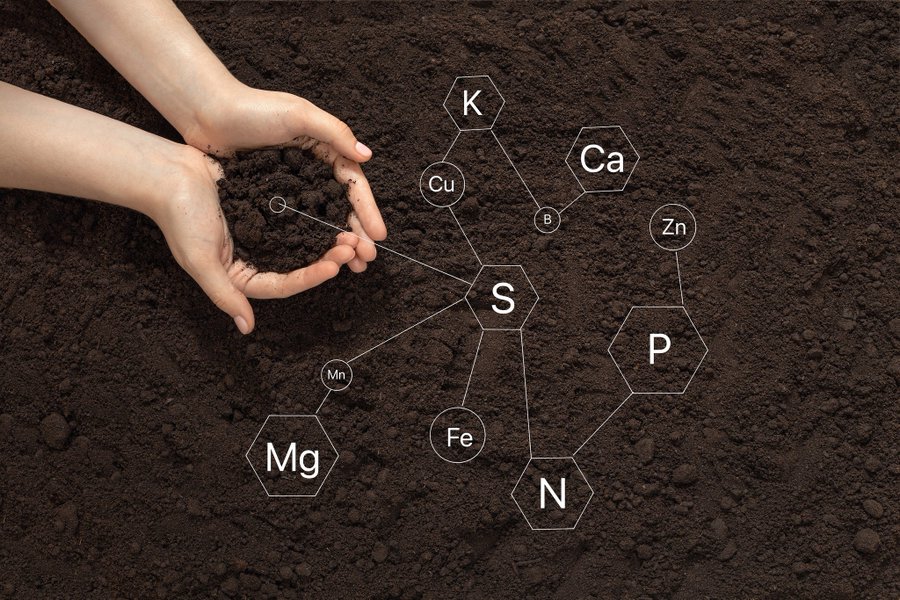 Soil contains more carbon than the Earth's atmosphere and vegetation combined. It's a crucial reservoir for carbon sequestration. By nurturing the soil and promoting organic carbon storage, we can combat climate change while enhancing soil fertility🌍 #ClimateSolution #SoilHealth