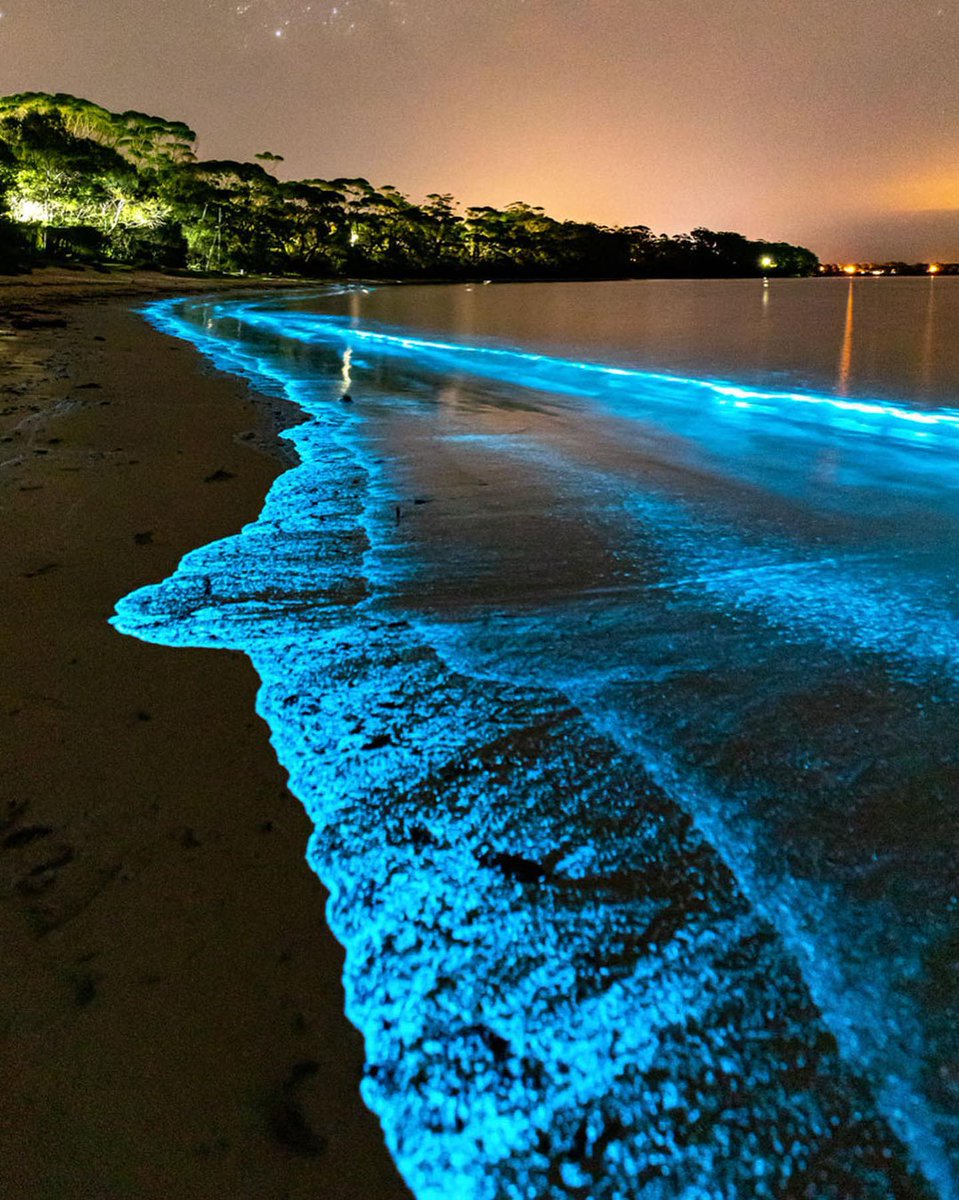 earth's tweet photo. Light show.
cc: Jordan Robins (https://t.co/UM4eVeRn4A) https://t.co/DsujHCKTms