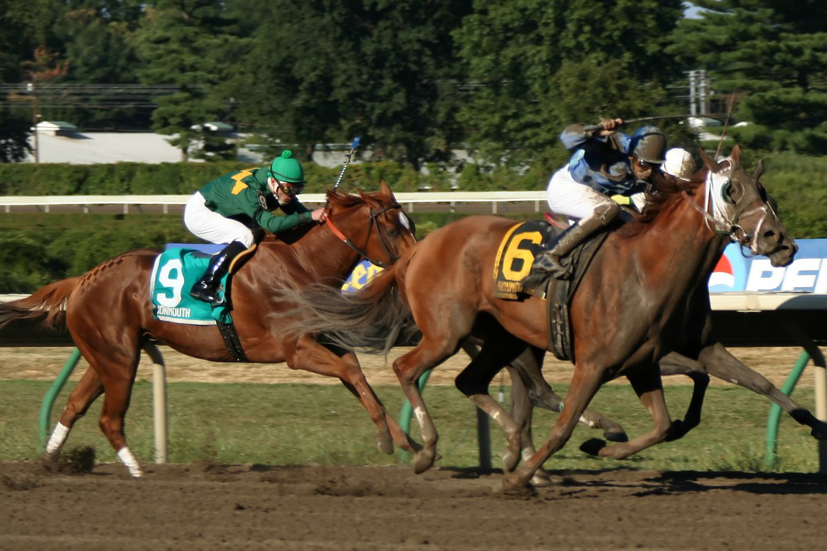 PointsBetRacing's tweet photo. New York Derby today from Finger Lakes! Wager at https://t.co/m09nk0onmJ https://t.co/tnu0oZRTIY