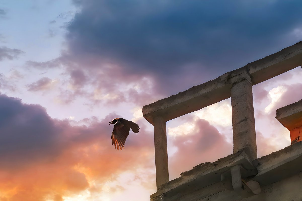 binitestudios's tweet photo. Photography &amp; AI fusion! 🥰🥰🥰
•
#photography #sunset #summer #bird #nature #stone #ruins #could #orange #blue #ai #aiart #fusion #merged #sonya7iii #photographer #pro #beautiful #breathtaking #raven https://t.co/qHVxYrKtJQ