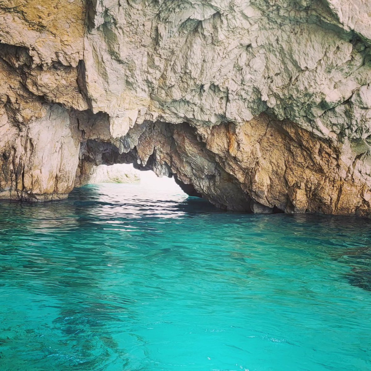FluffySpaceCat's tweet photo. Some caves
#FluffySpaceCat #holiday #holidayvibes #zante #zakinthos #kericaves #holiday #beautiful https://t.co/rToRUTJKtf