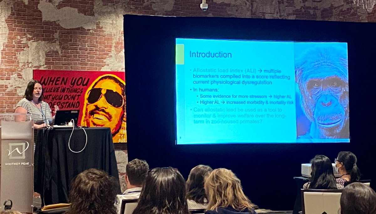AlessandrAcadia's tweet photo. @ASPvoice has a packed house for the Welfare Over Lifetime of NHPs Session! (Pictured: @DrAshleyEdes, the ASP Executive Secretary, who works at my hometown zoo, STL Zoo) https://t.co/vFdZphqy4M