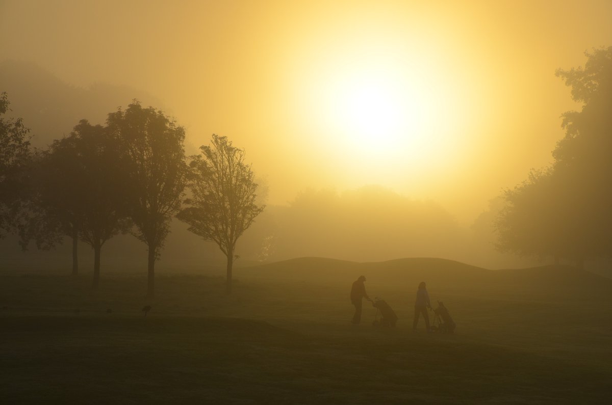 Waterford Castle Golf Club tweet media