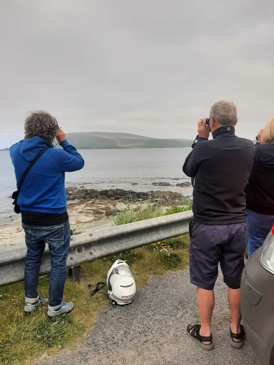 Ook politie-agenten willen op Shetland orca's zien...
Also police agents want to see orcas in Shetland...
#Sumburgh, #Puffin #Paradise #Virkie
#orca #wildlife
#breien #stricken #tricoter #knitting #thedutchknitters #CarlaMeijsen  #shetland