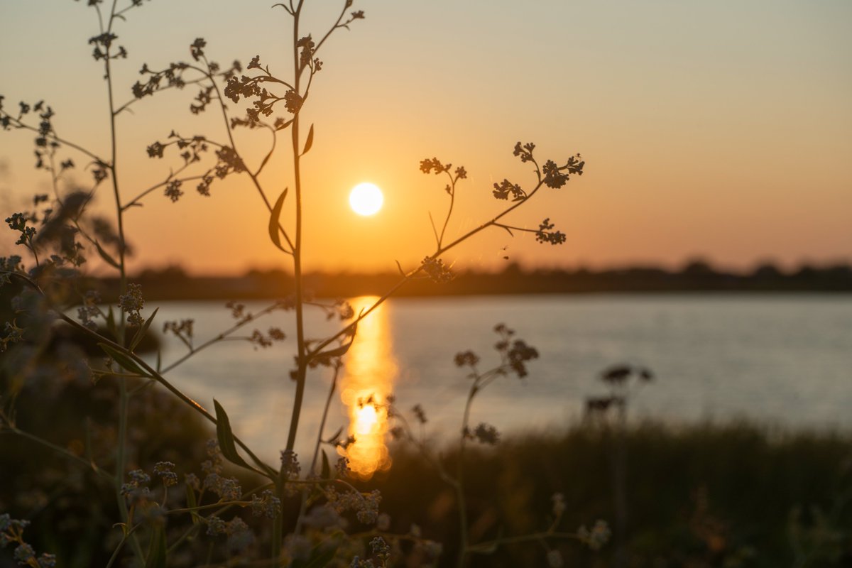 DorteHedengran's tweet photo. This beautiful evening before sunset on the longest day of the year (Summer solstice)☀️ 

#Denmark #streetphotography #SonyAlpha #photooftheday #June21th #WednesdayVibes #WednesdayMood #Wednesday #Solstice #sunset 

📸Dorte Hedengran https://t.co/cnjQ7cJaFs