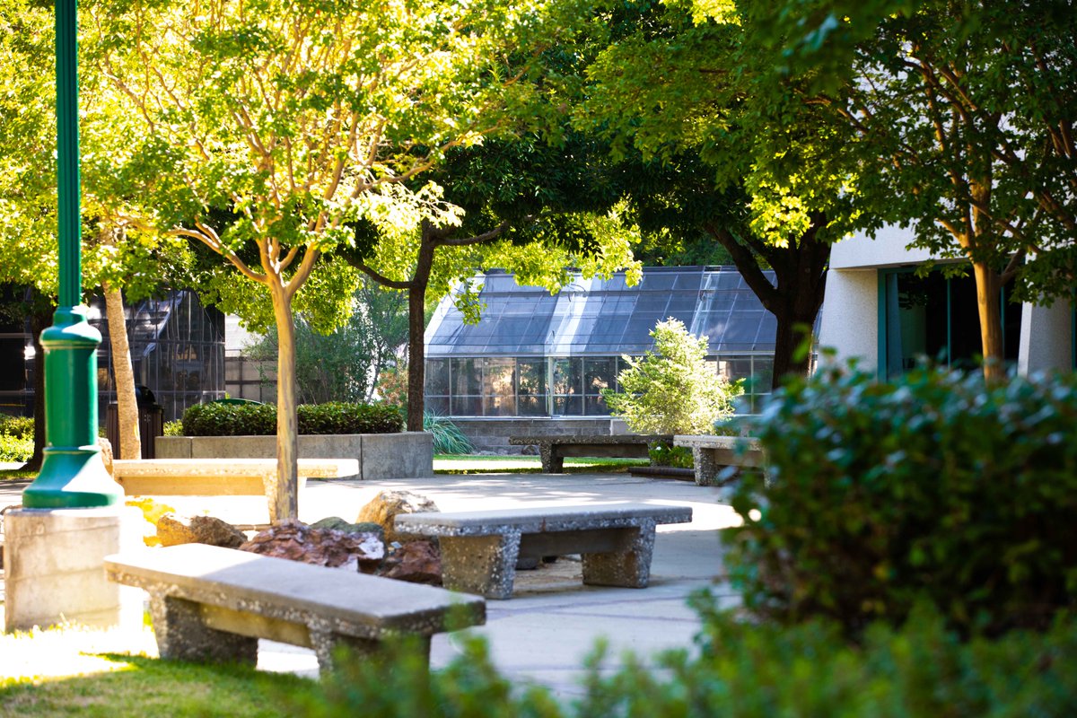 sacstate's tweet photo. Summer vibes only 😎☀️ 

Happy first day of summer, Hornets!🍦🐝

📸 Sacramento State/Andrea Price https://t.co/iRnPMlW507